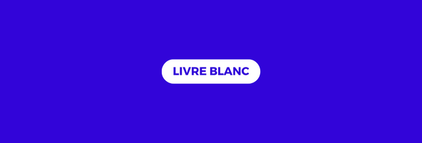 Téléchargement Livre blanc